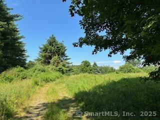 115 Mcbride Road Litchfield CT 06759