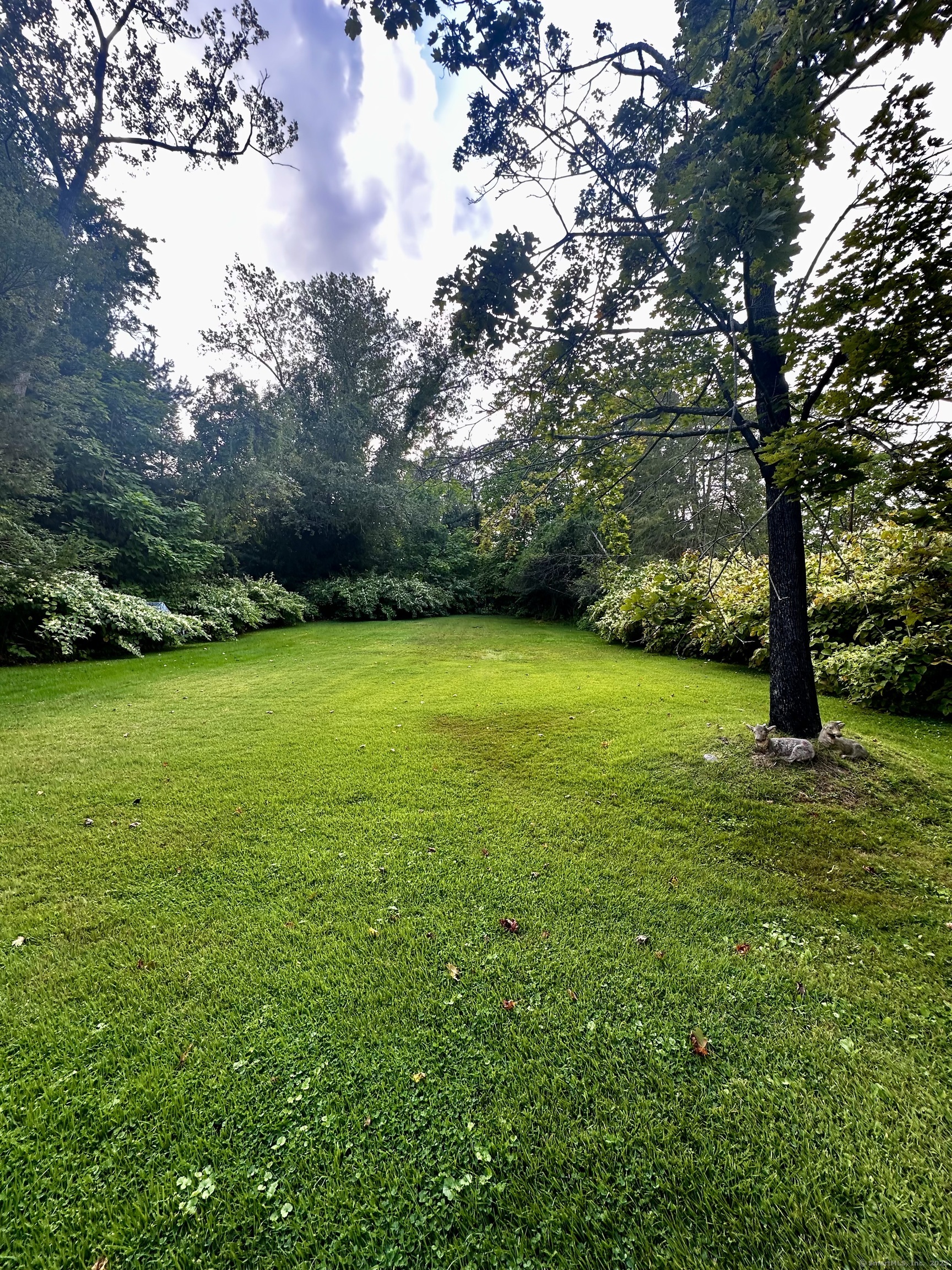 0372 Floyd Street Waterbury CT 06701
