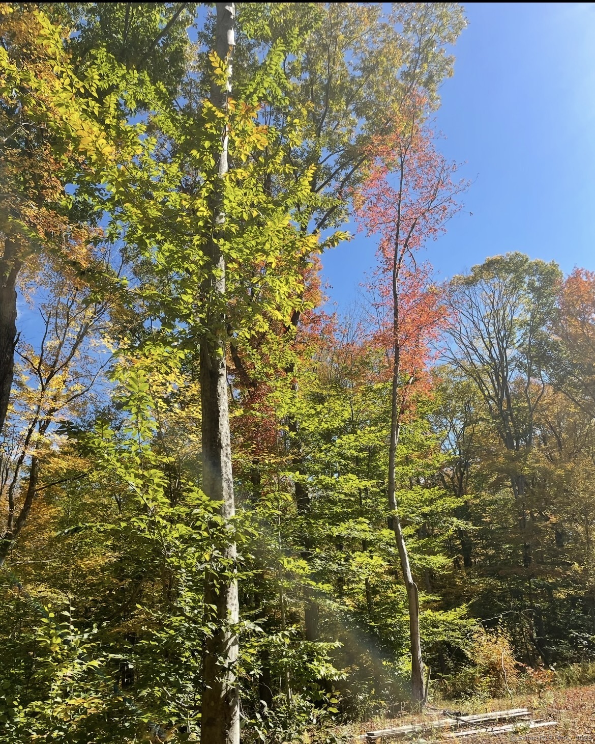 Brook Road Hampton CT 06247