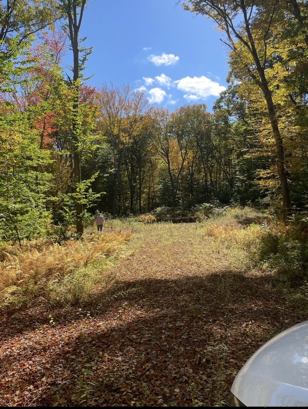 Brook Road Hampton CT 06247