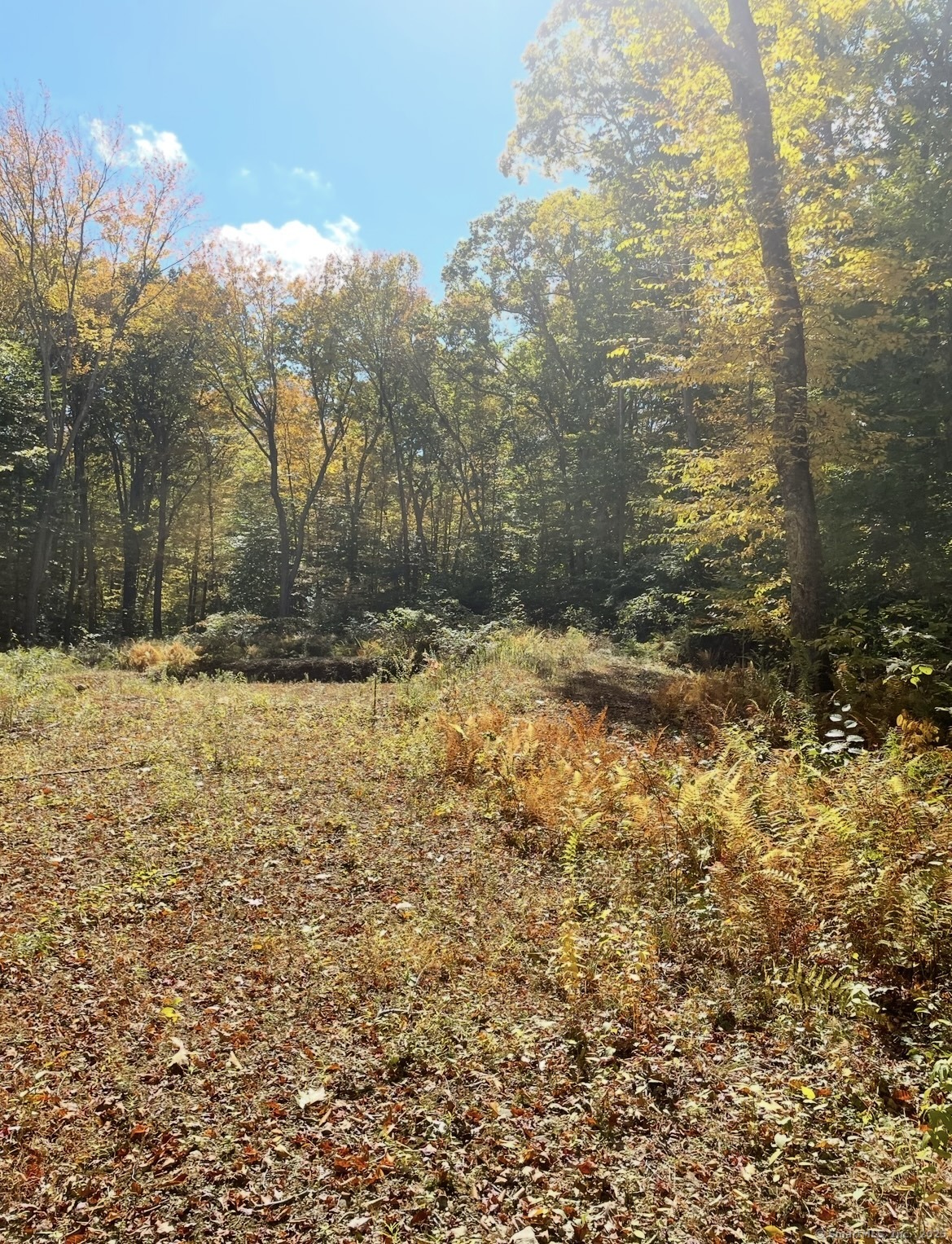 Brook Road Hampton CT 06247