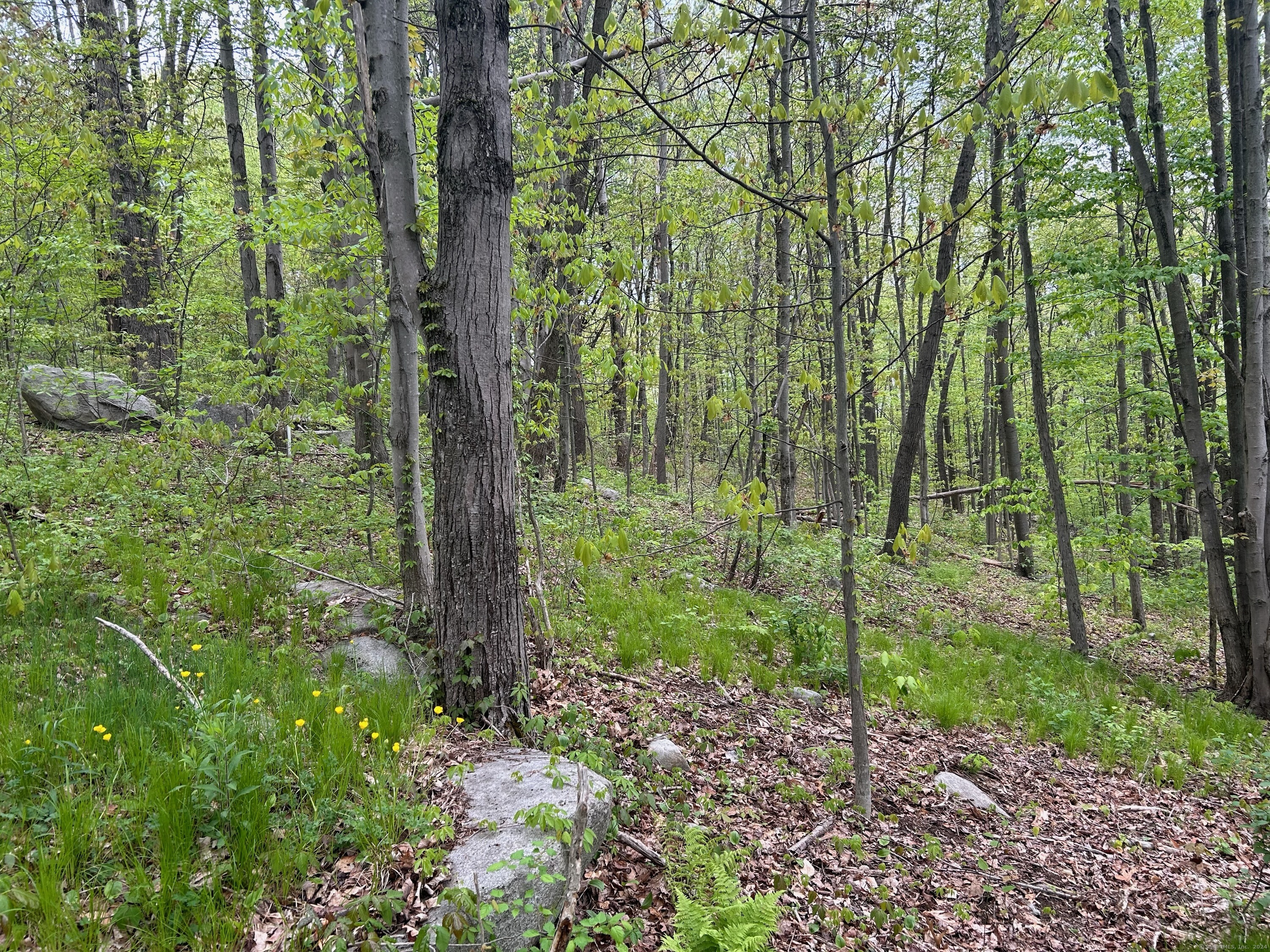 68 Westledge Terrace Torrington CT 06790