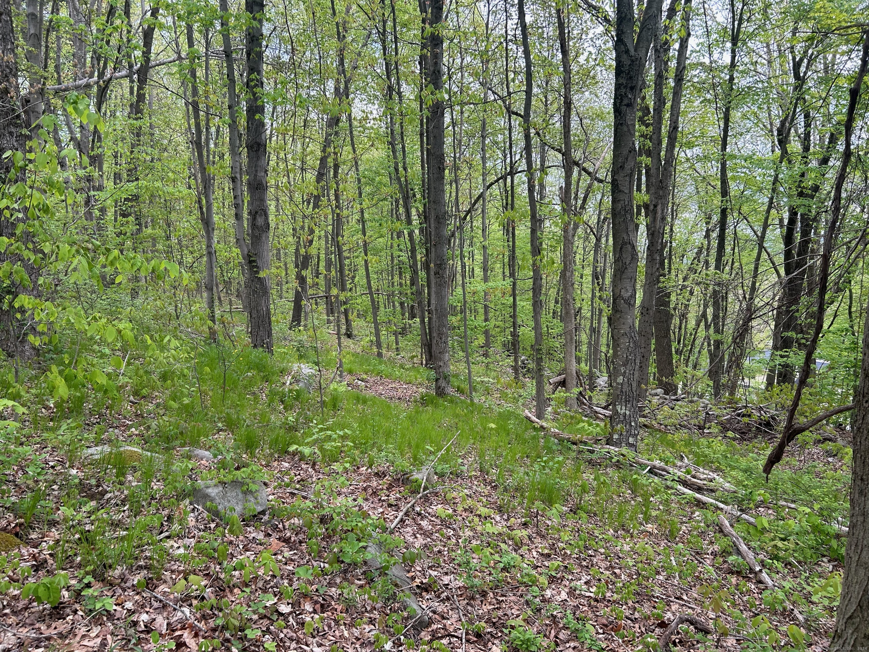 68 Westledge Terrace Torrington CT 06790