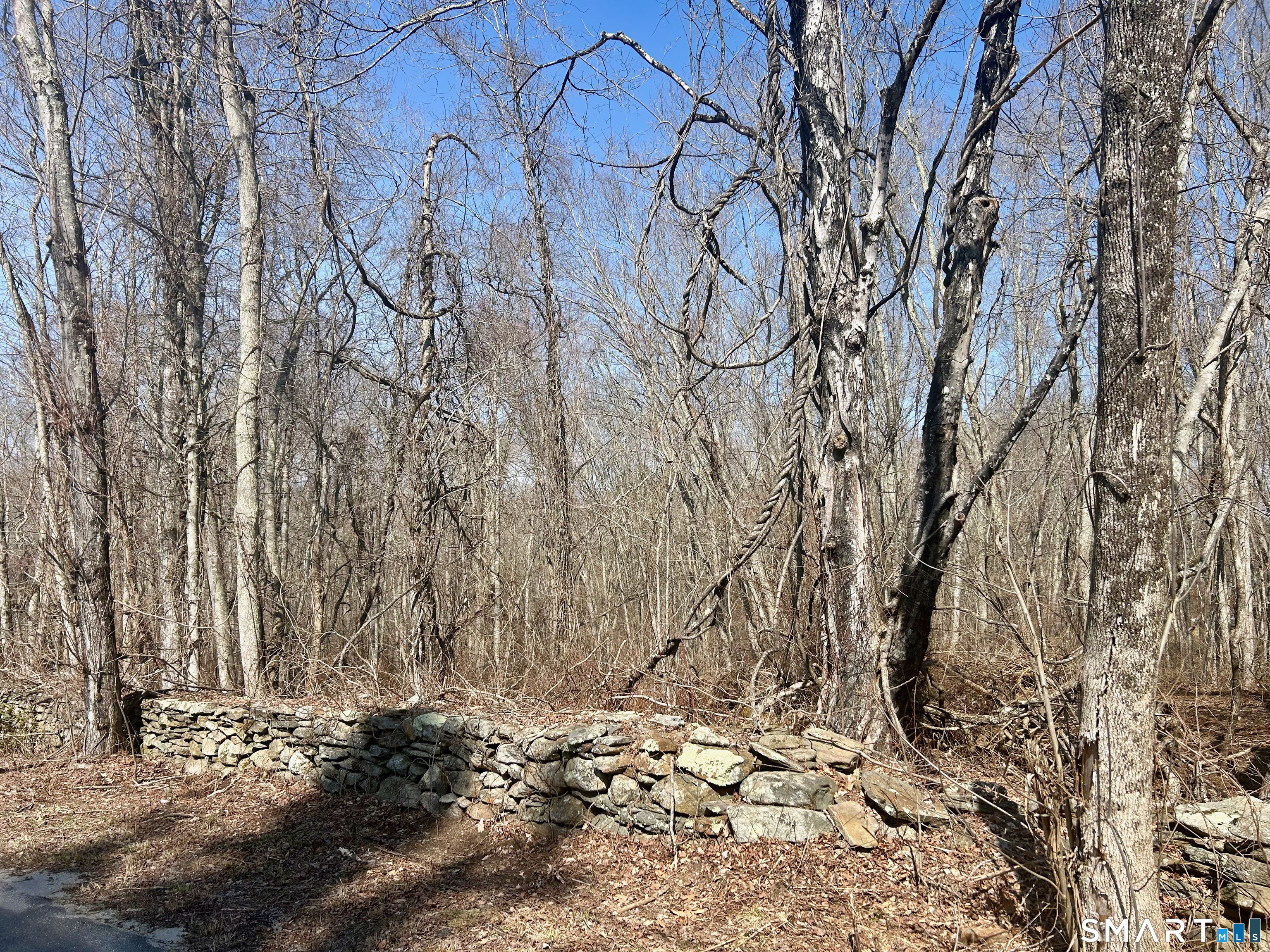 Reilly Road Hampton CT 06427