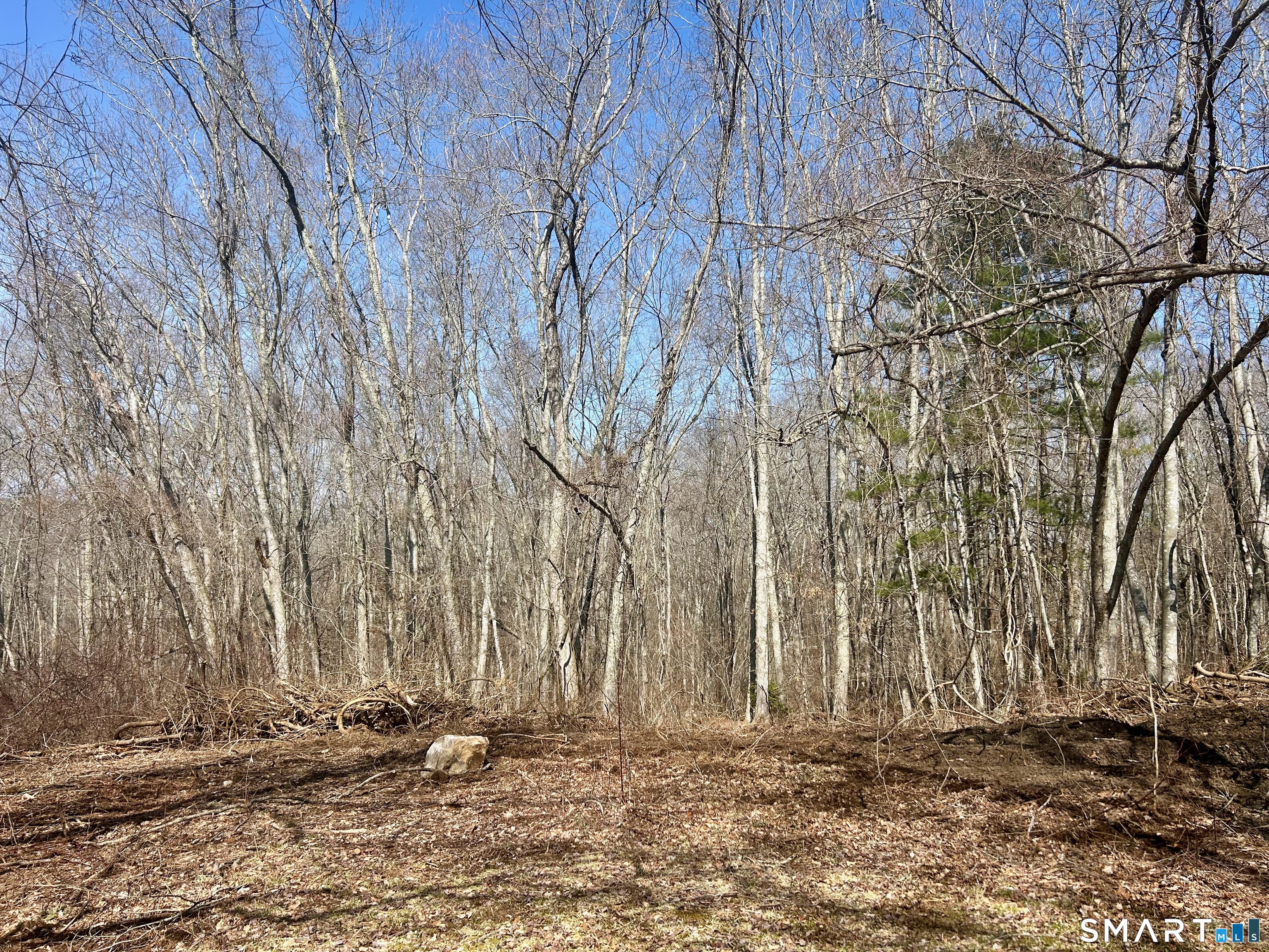 Reilly Road Hampton CT 06427