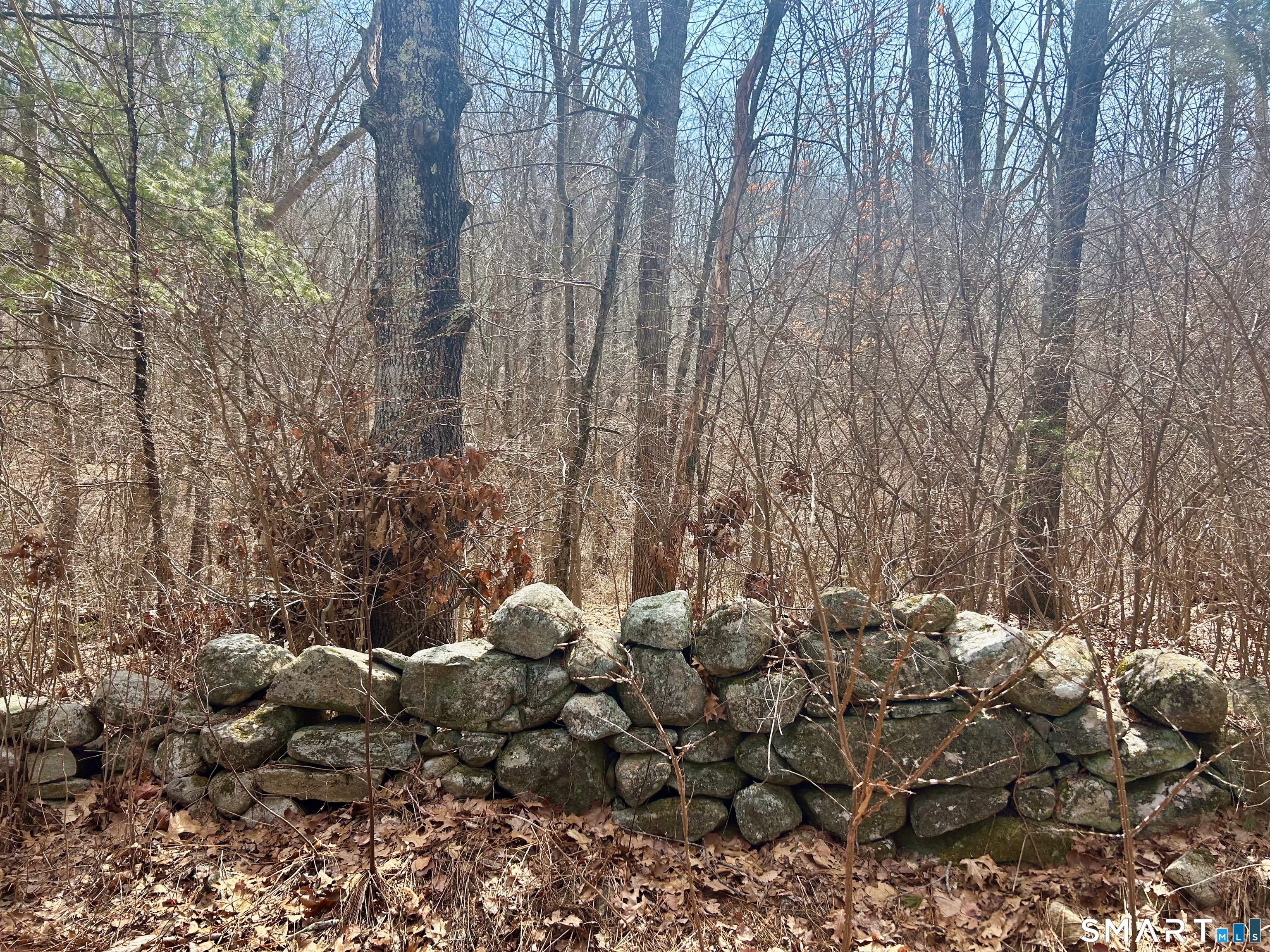 Reilly Road Hampton CT 06427