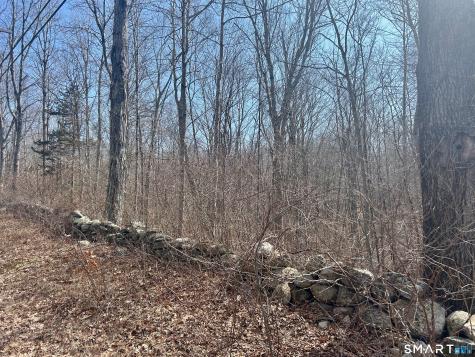 Reilly Road Hampton CT 06427