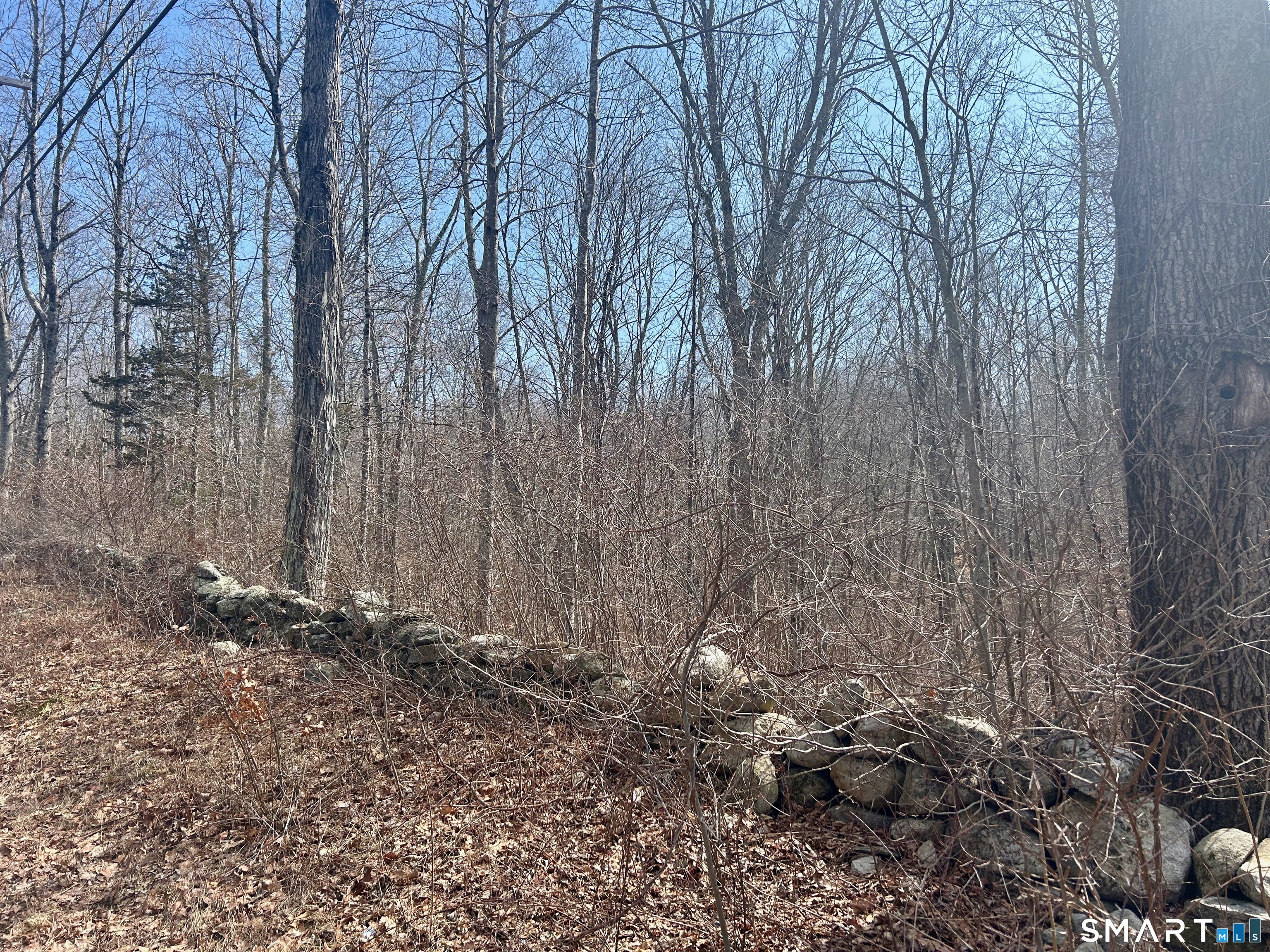 Reilly Road Hampton CT 06427