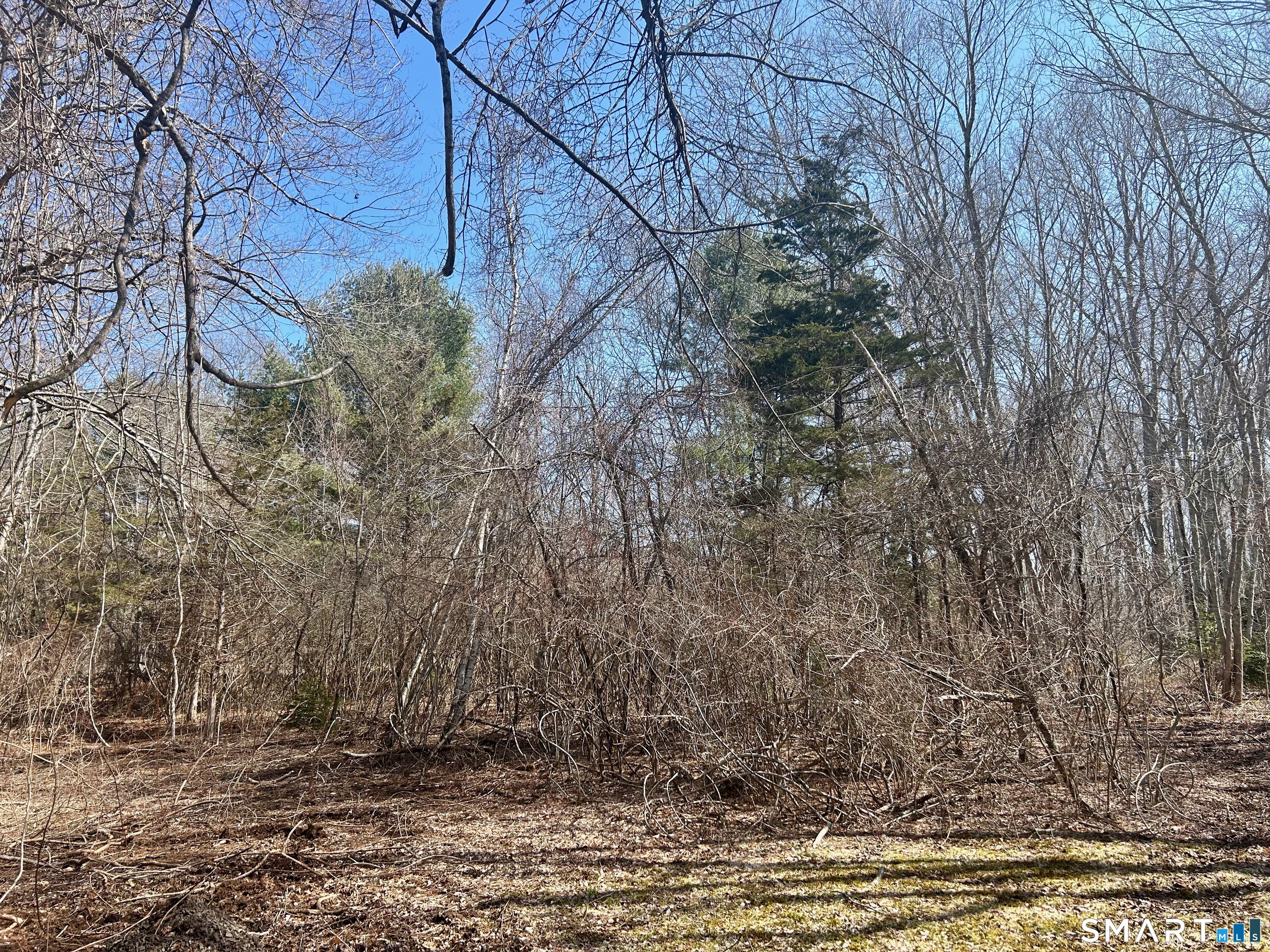 Reilly Road Hampton CT 06427