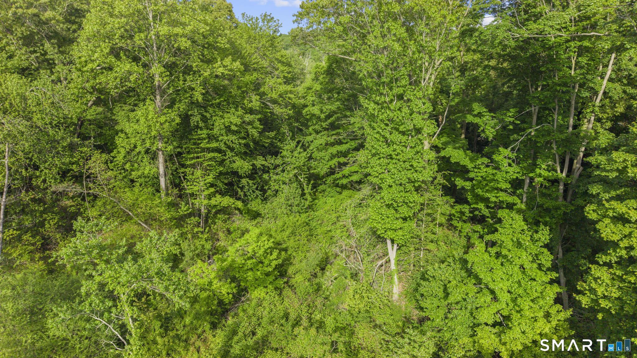 379 Brushy Plain Road Branford CT 06405