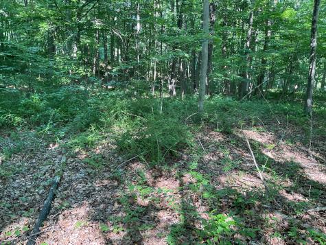 176 Picketts Ridge Road Redding CT 06896