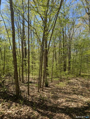 Englewood Trail Coventry CT 06238