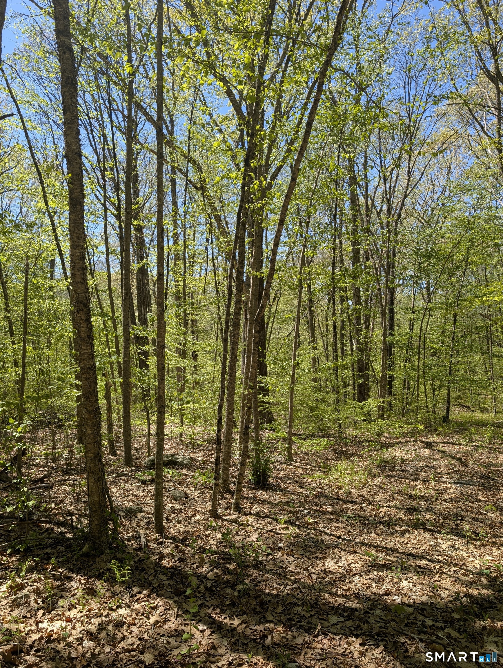 Englewood Trail Coventry CT 06238