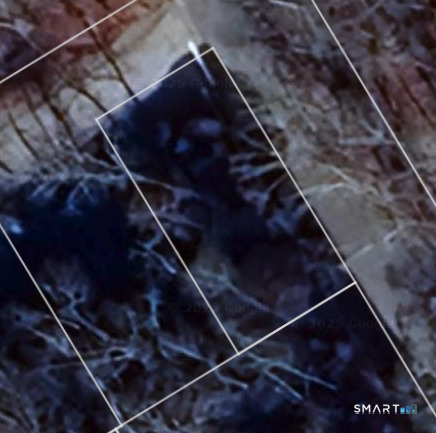 Hinkel Mae Drive Coventry CT 06238