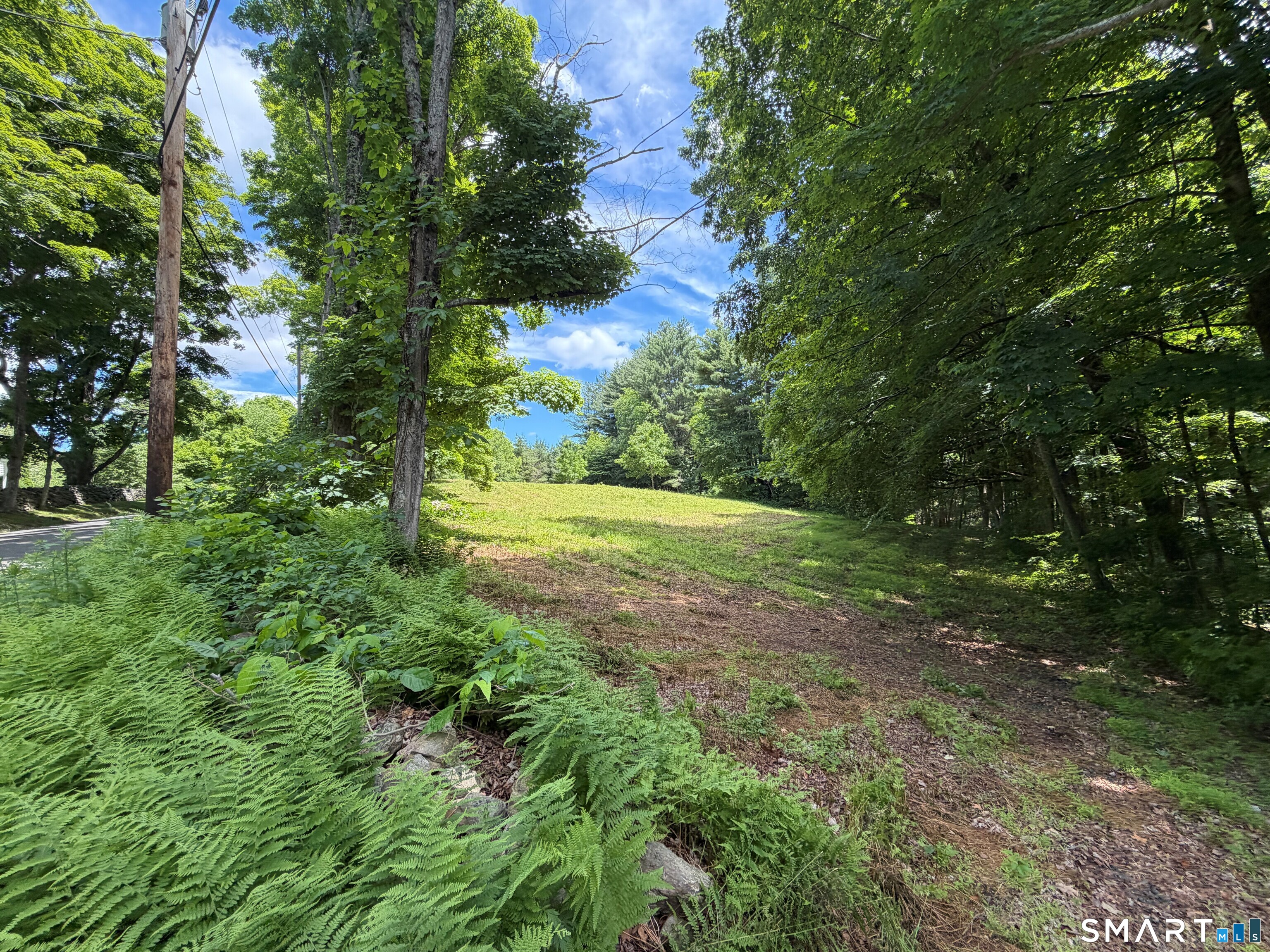 133 Painter Hill Road Woodbury CT 06798