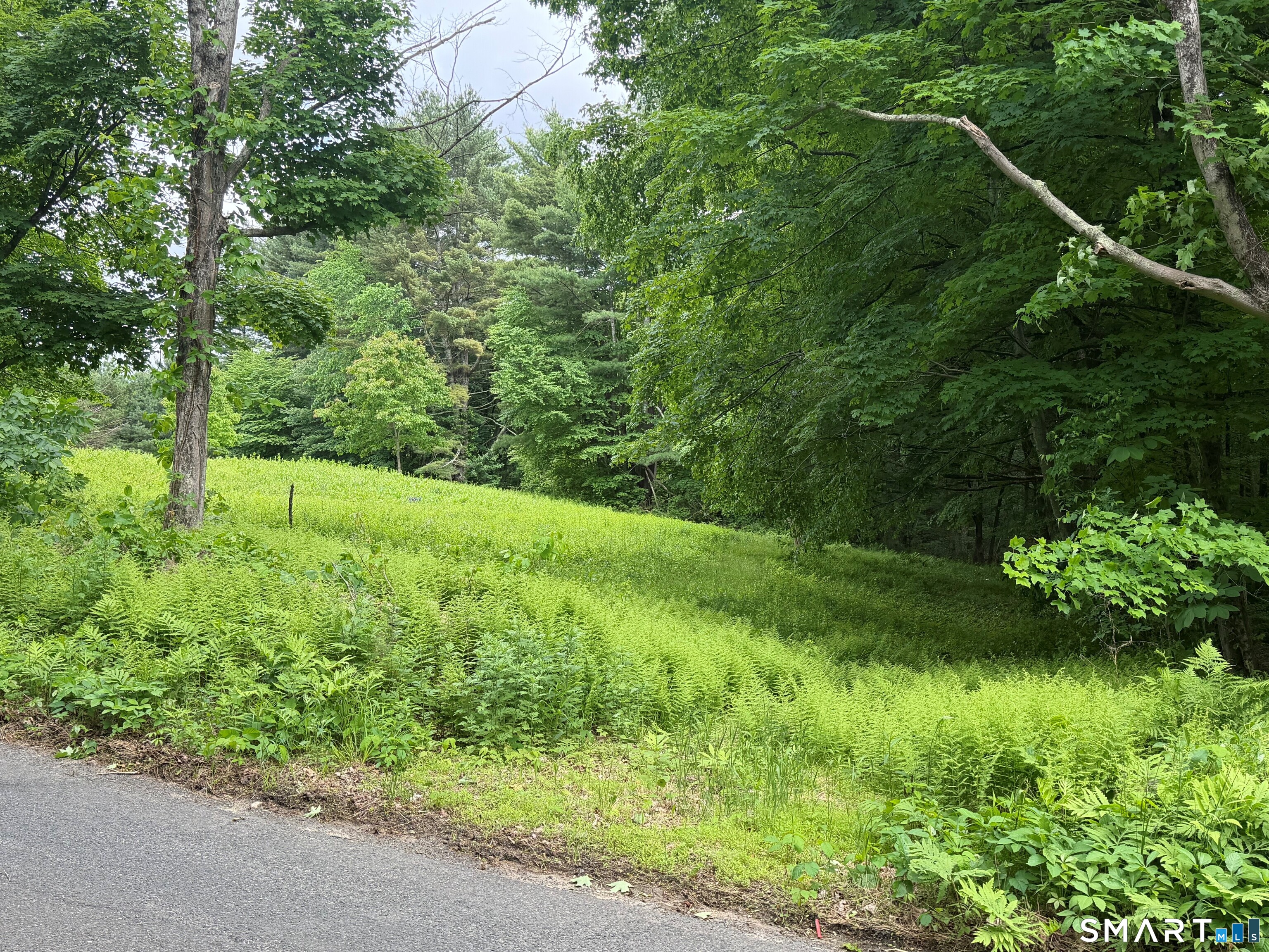 133 Painter Hill Road Woodbury CT 06798