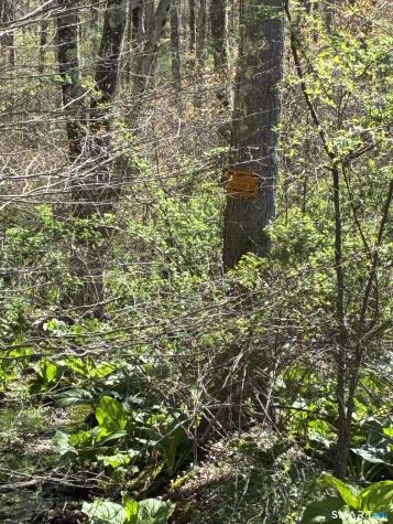 Madison Road Durham CT 06422