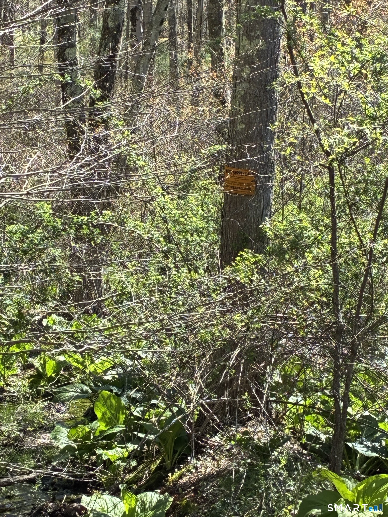 Madison Road Durham CT 06422