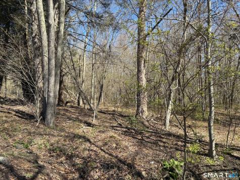 Madison Road Durham CT 06422