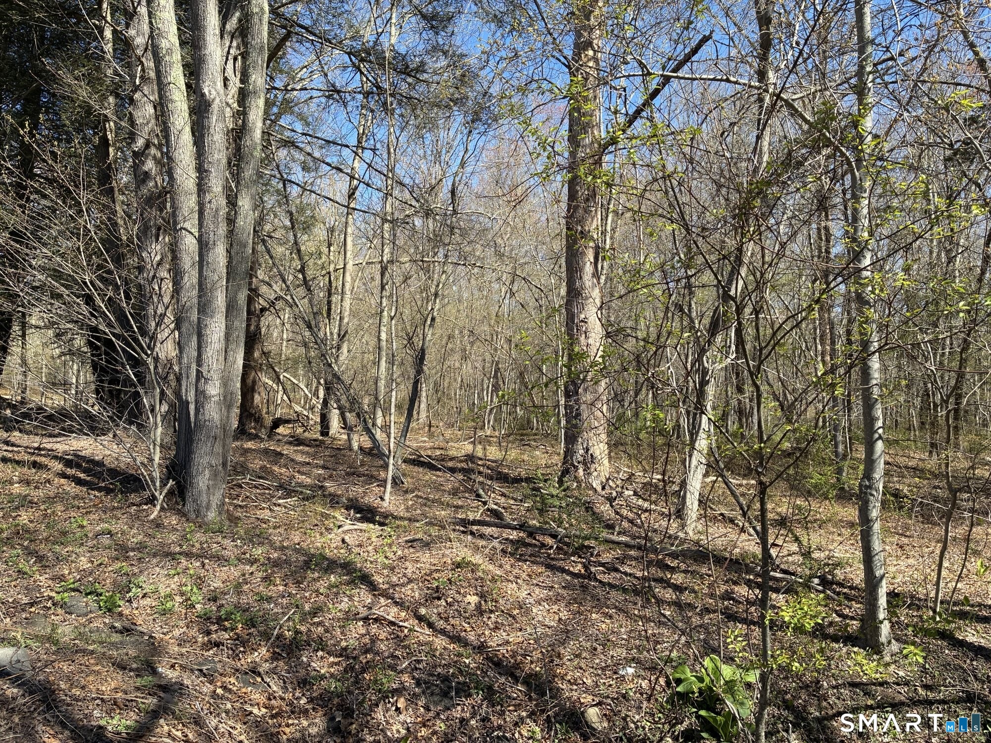 Madison Road Durham CT 06422