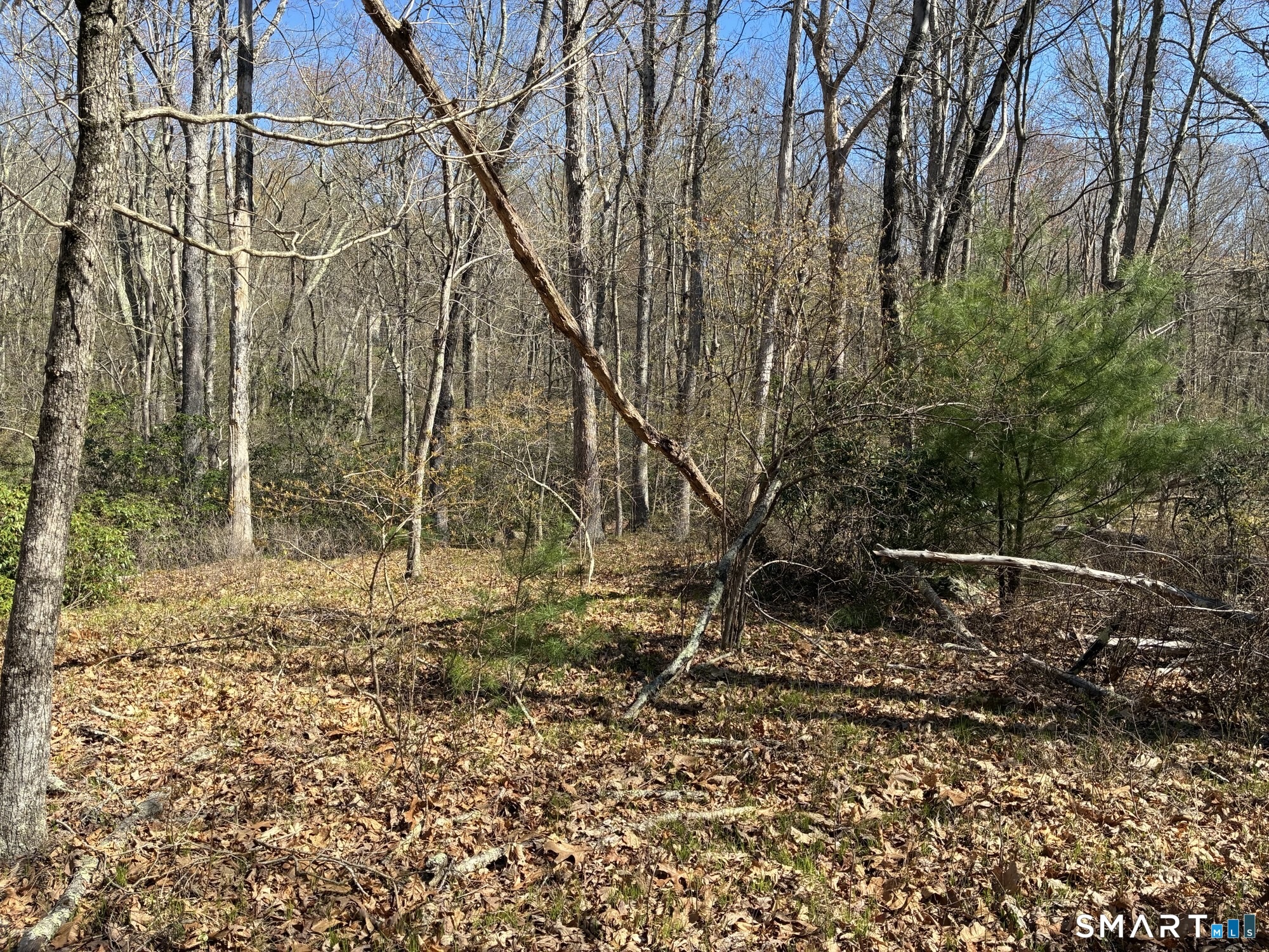 Madison Road Durham CT 06422