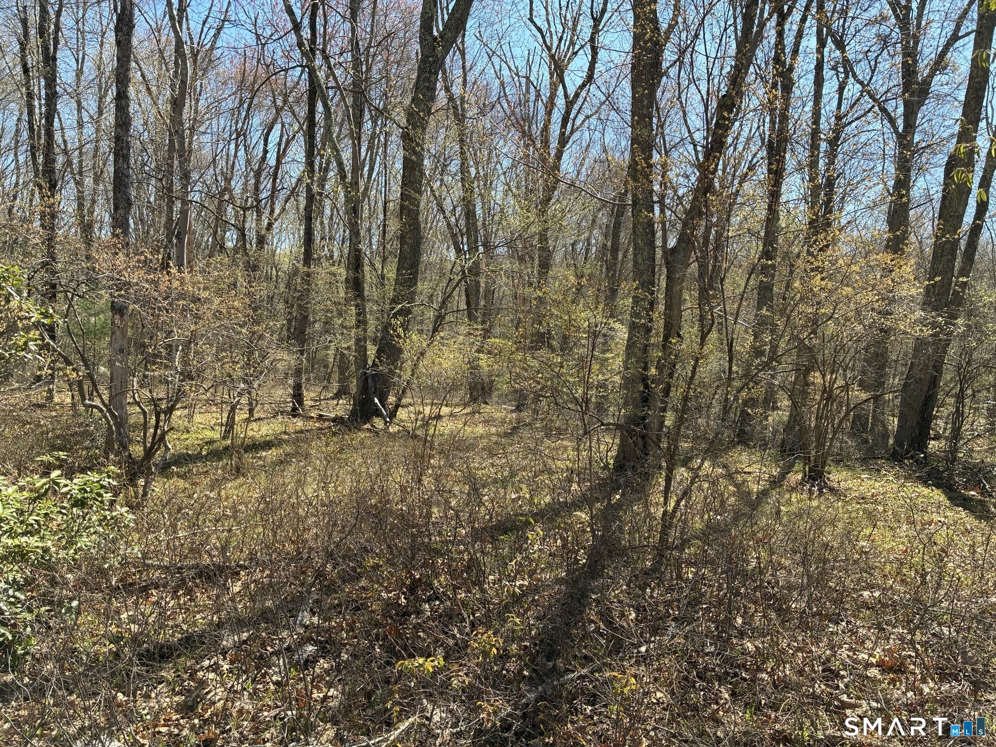 Madison Road Durham CT 06422
