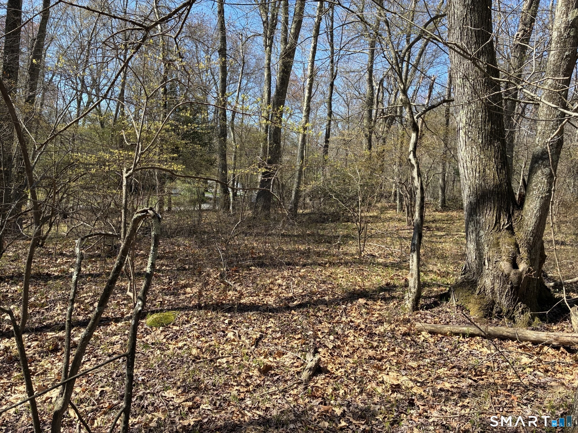 Madison Road Durham CT 06422