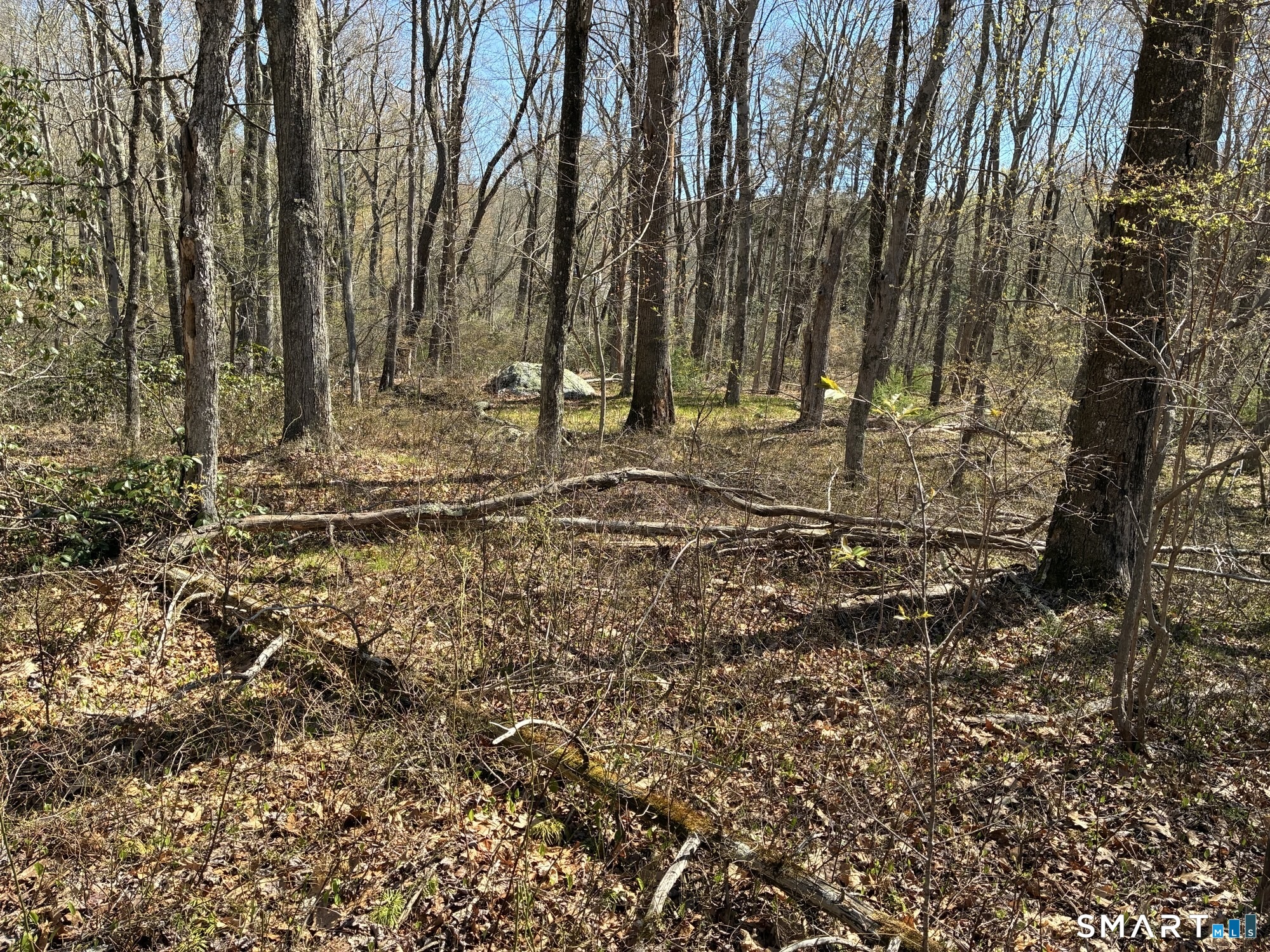 Madison Road Durham CT 06422