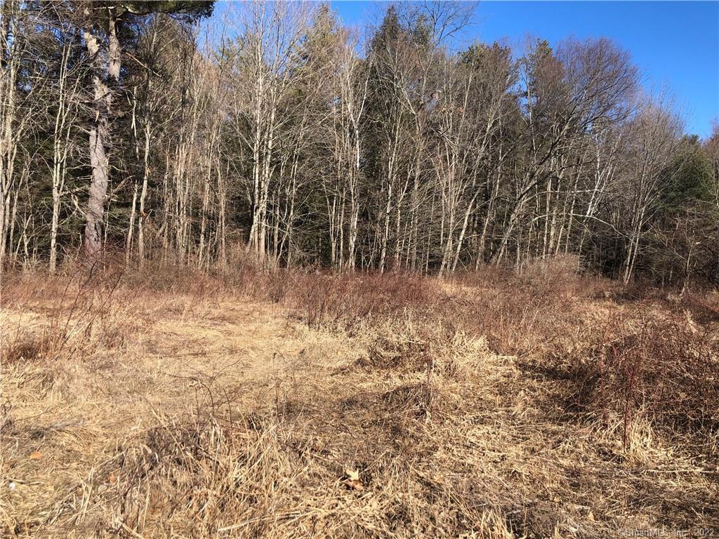 53 Brighton Drive East Granby CT 06026