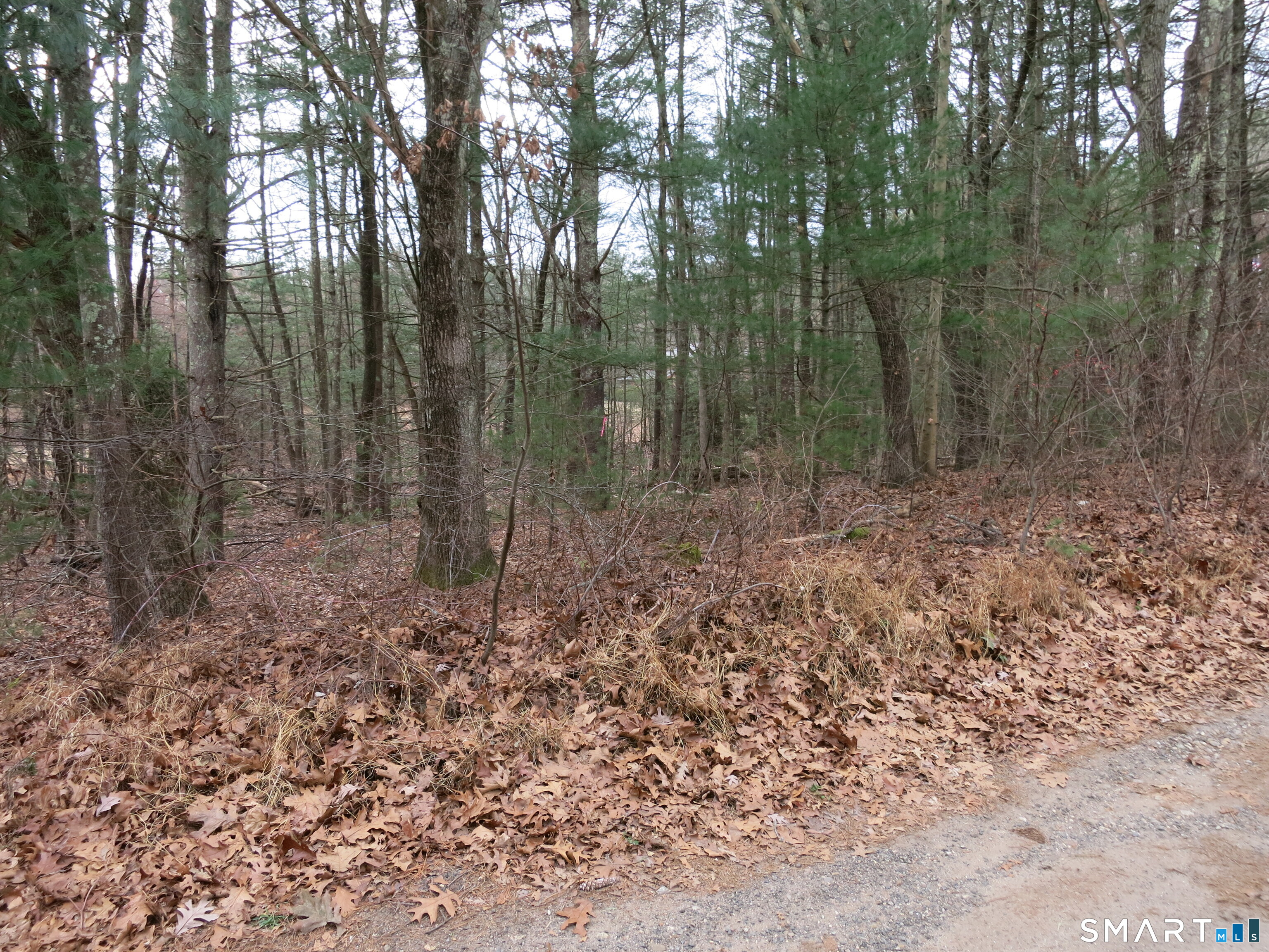 76 White Sands Road East Haddam CT 06469