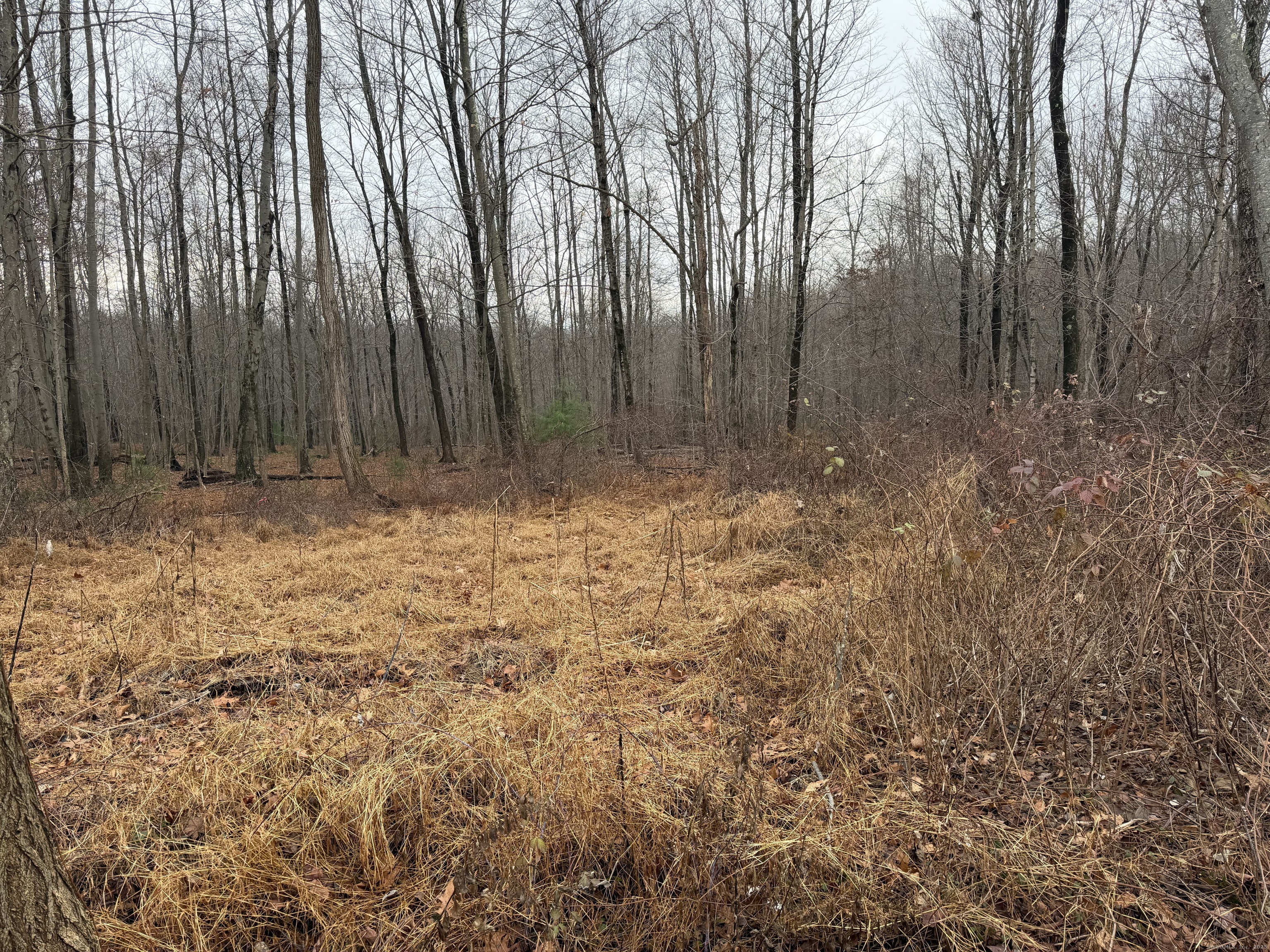 312 Merrow Road Tolland CT 06084