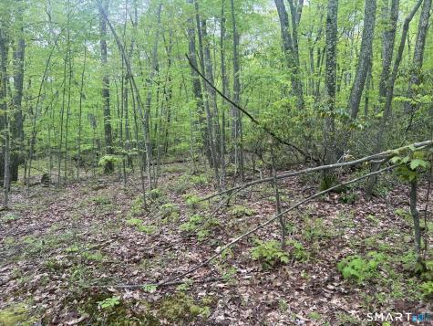 238 Old Messenger Road Granby CT 06035