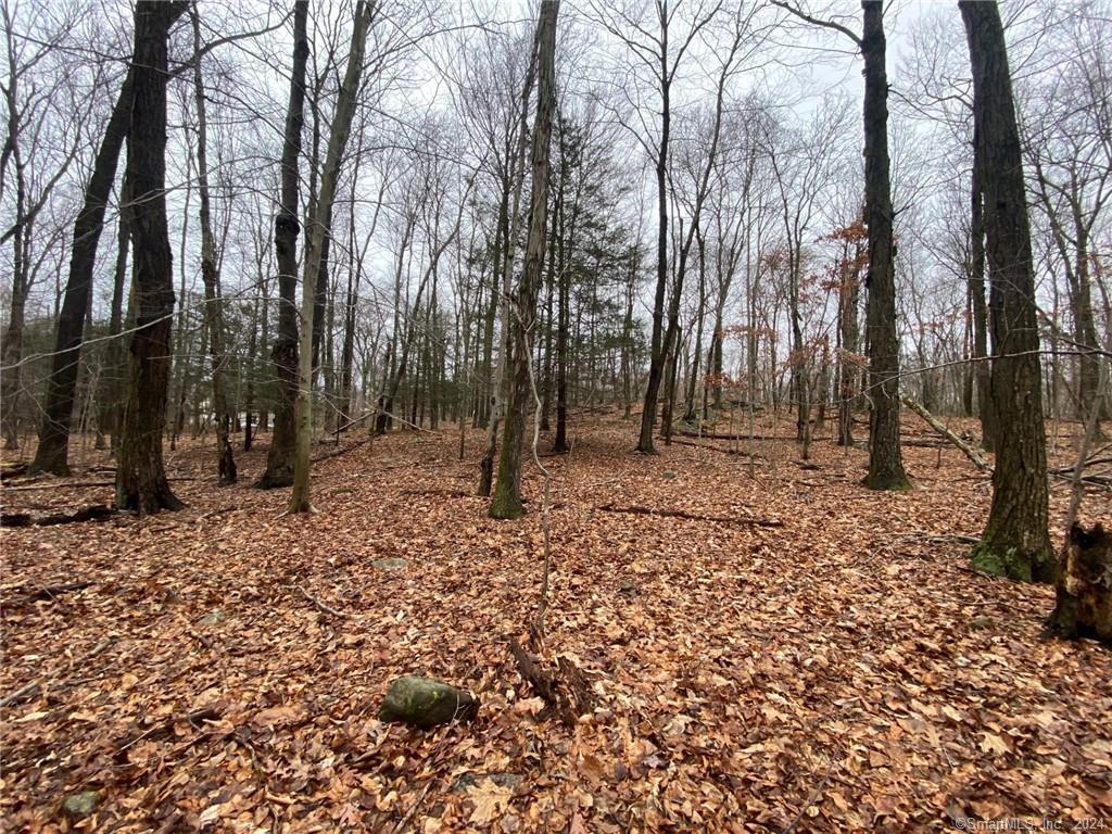 34 Rolling Hills Drive Oxford CT 06478