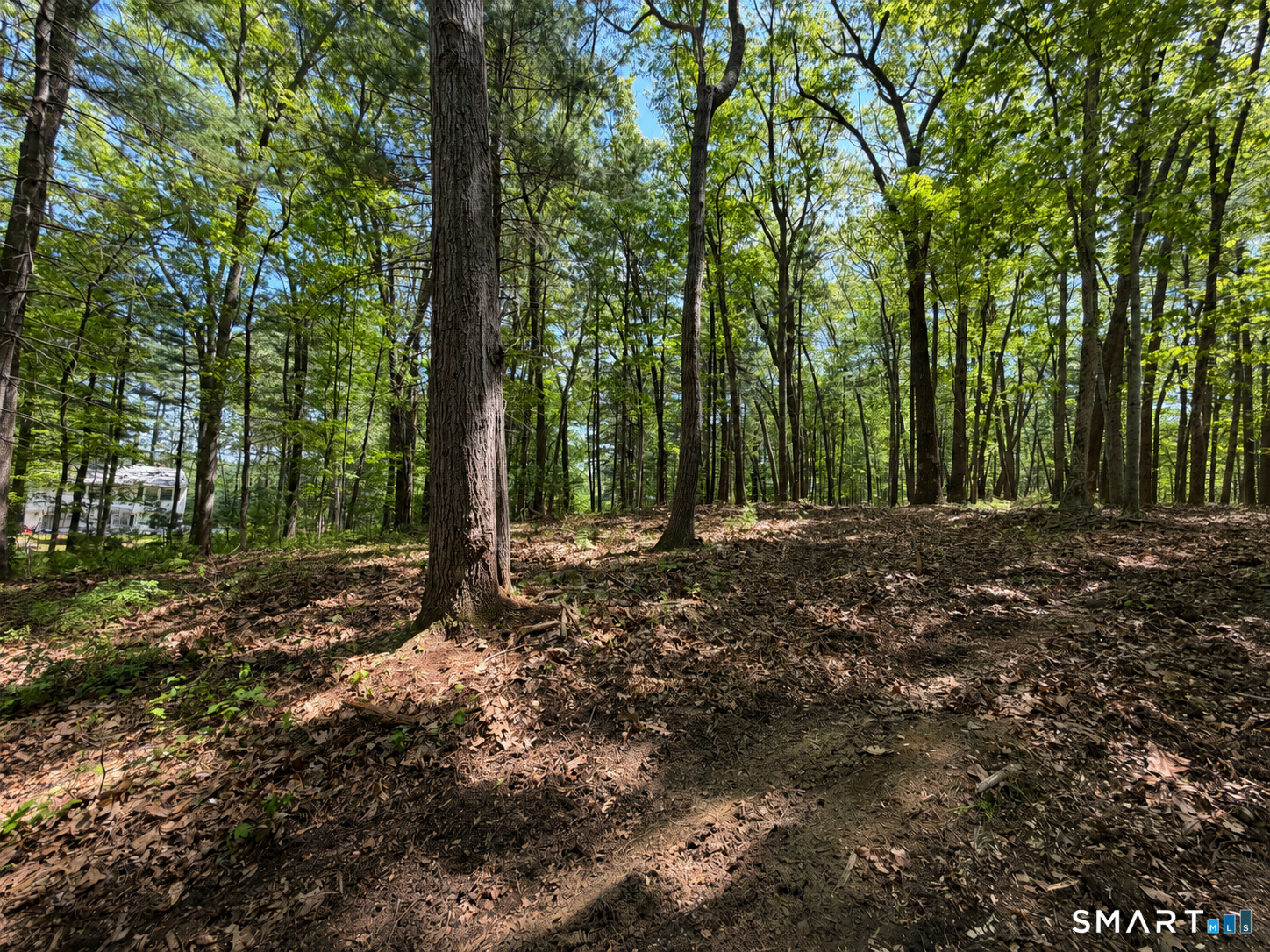 406 Sabin Street Putnam CT 06260