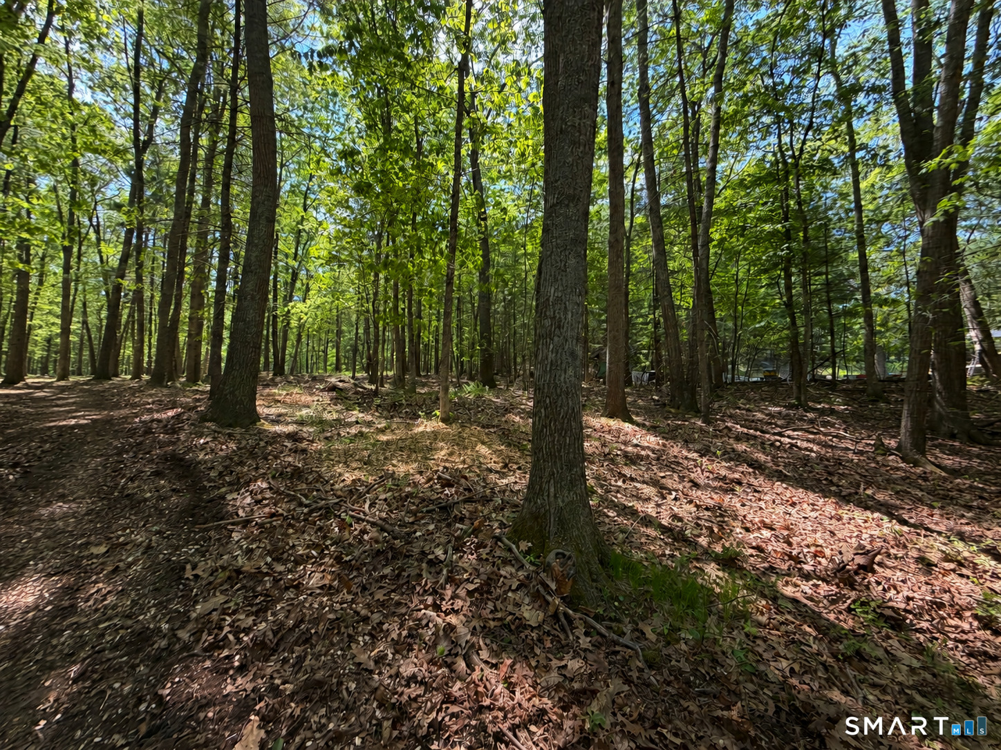 406 Sabin Street Putnam CT 06260