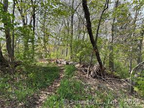 Saugus Avenue Watertown CT 06795
