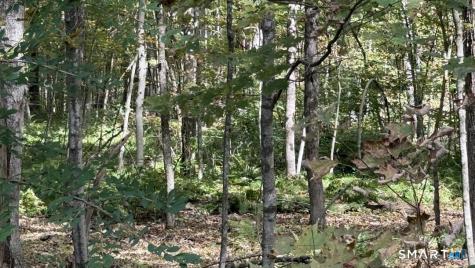 Old Colony Road Eastford CT 06242