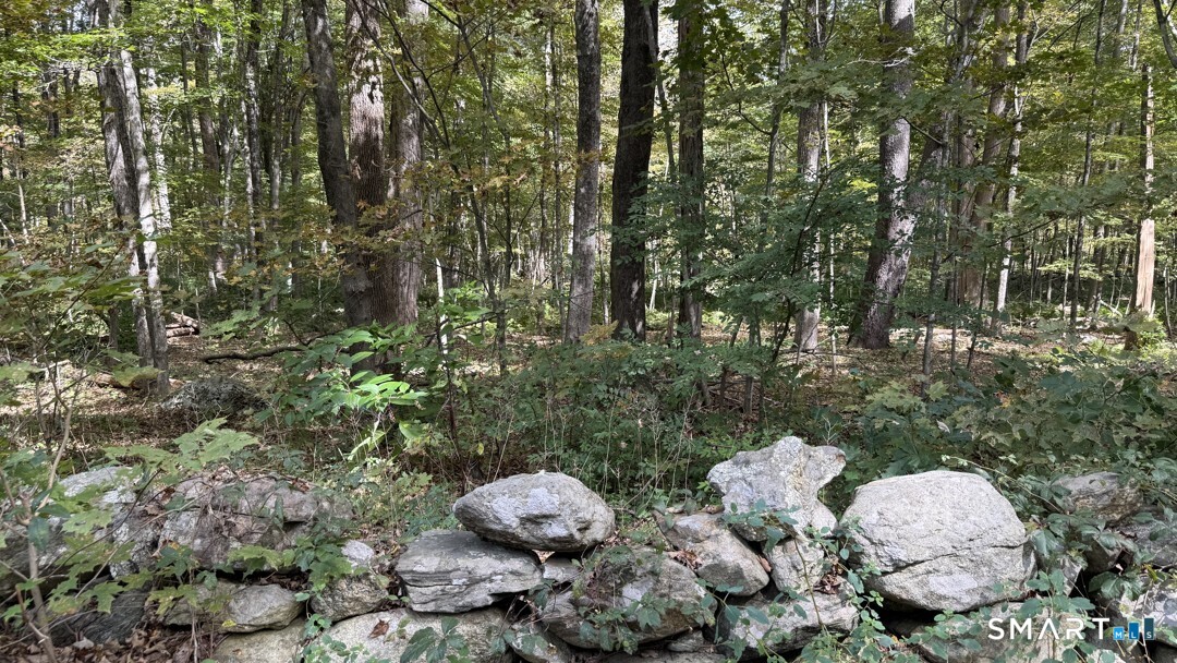 Old Colony Road Eastford CT 06242