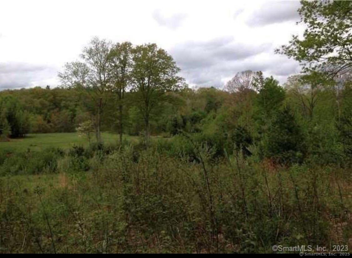 226 Goose Lane Tolland CT 06084