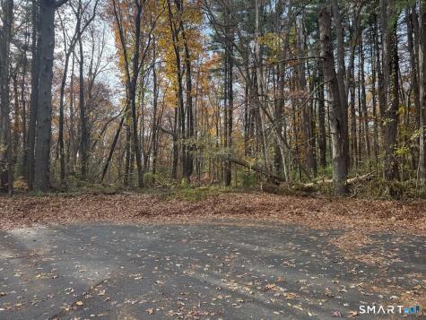 0 Walnut And Larch Drive Windsor CT 06095