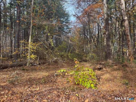 0 Walnut And Larch Drive Windsor CT 06095