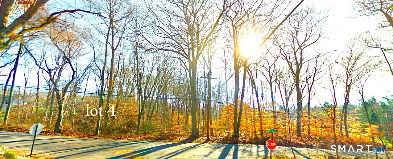 Lot #4 West Mischa Road Trumbull CT 06611