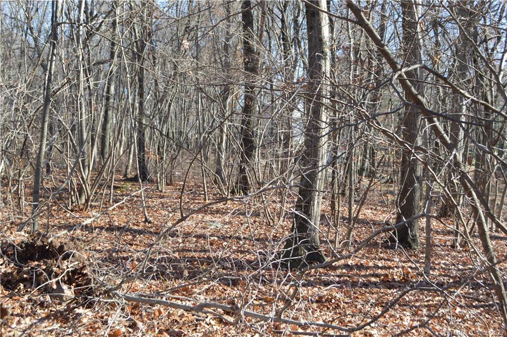 Arvida Road Wolcott CT 06716