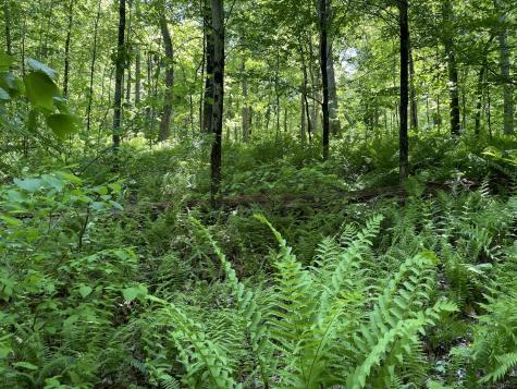 31 Holmes Road Roxbury CT 06783