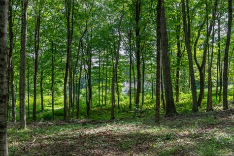 31 Holmes Road Roxbury CT 06783