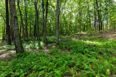 31 Holmes Road Roxbury CT 06783