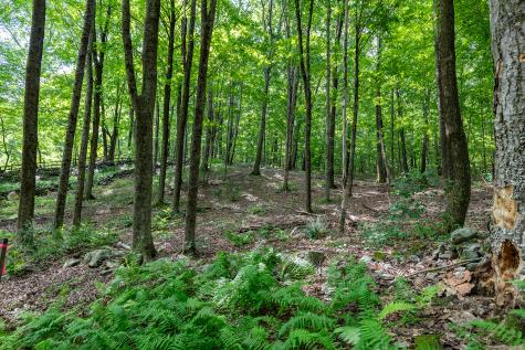 31 Holmes Road Roxbury CT 06783