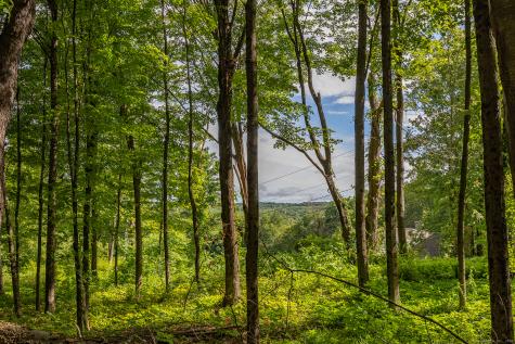 31 Holmes Road Roxbury CT 06783