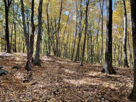 31 Holmes Road Roxbury CT 06783