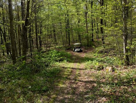 Litchfield Road Watertown CT 06795